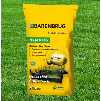 BARENBRUG Resilient Blue Lawn 5kg