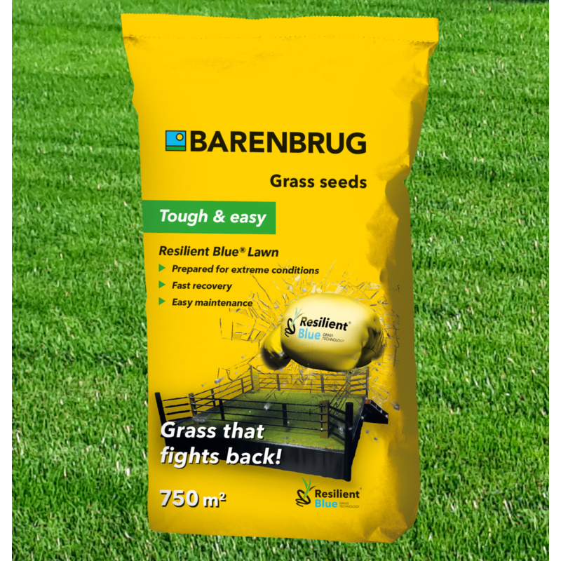 BARENBRUG Resilient Blue Lawn 15kg